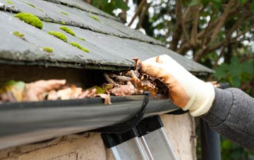 gutter cleaning Silvermuir, South Lanarkshire
