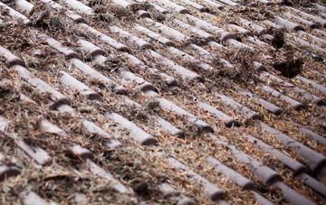 Silvermuir roof cleaning companies